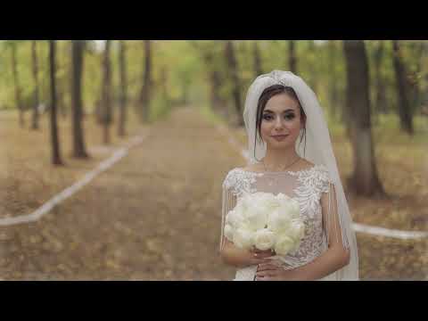 Željko Bebek -