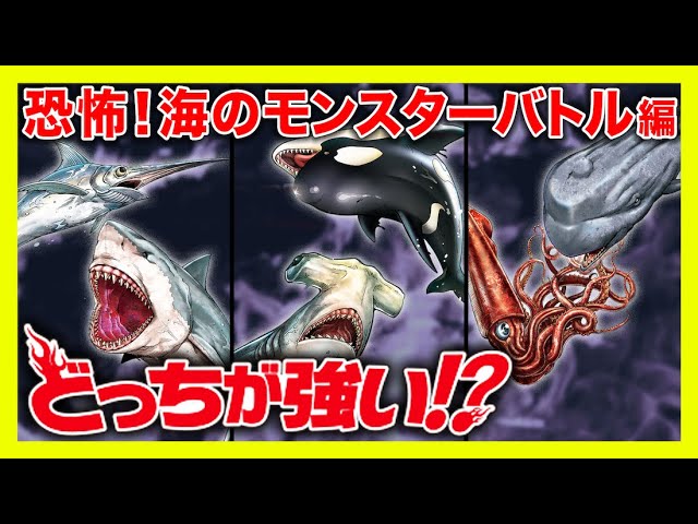 漫画 海のモンスター 恐怖の海の殺し屋が登場 海中で激しいバトル Youtube