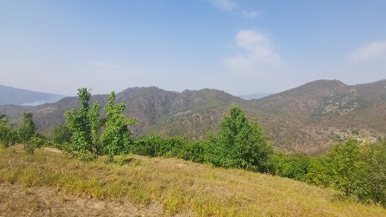 6397682289 Harish Singh 3.5 nali Himalaya view land 10 lakh per nali near by mukteshwar