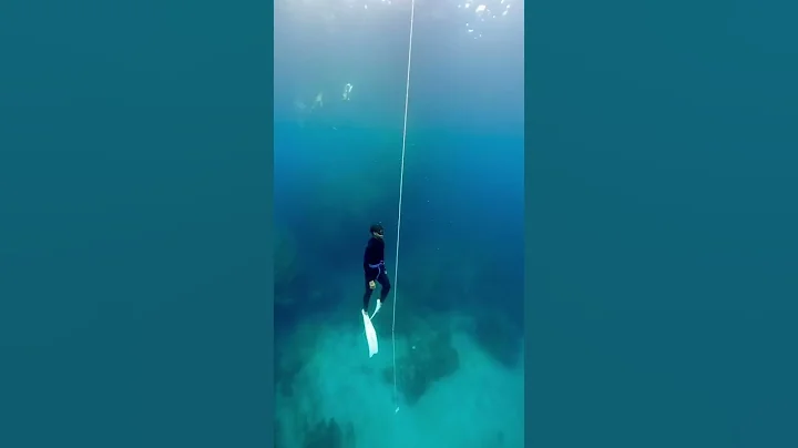 【海海人】自由潜水考照 AIDA 2 CWT 恒重下潜 绿岛Oceanian - 天天要闻