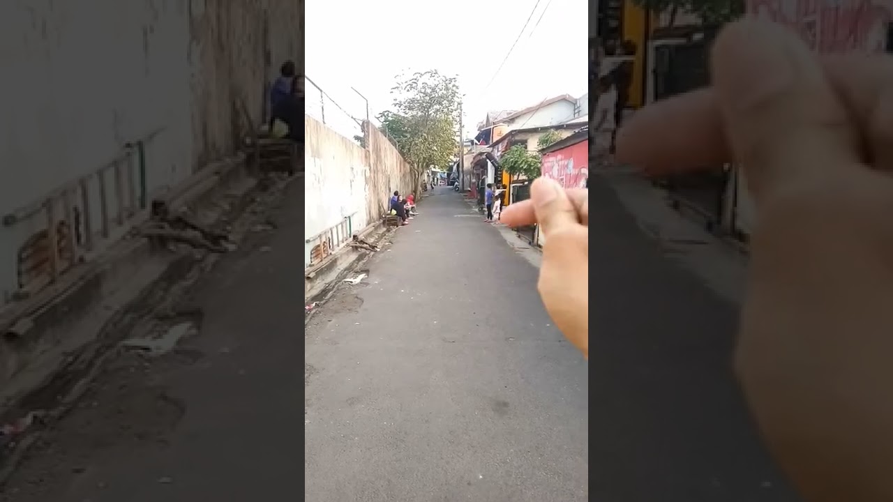 Lovebird jinak free fly 