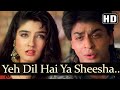 Yeh Dil Hai Ya Sheesha (HD) - Shahrukh Khan & Raveena Tandon - Yeh Lamhe Judaai Ke Songs