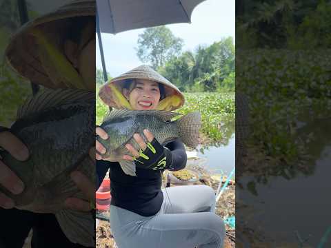 Mồi câu tổng hợp VHF câu cá hồ bán thiên nhiên Ngũ Phúc #vyhanfishing #fishing #cauca #moicauvhf