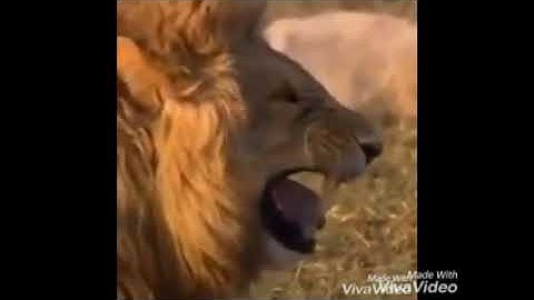 Neww bullet force gold hack %100 percent working