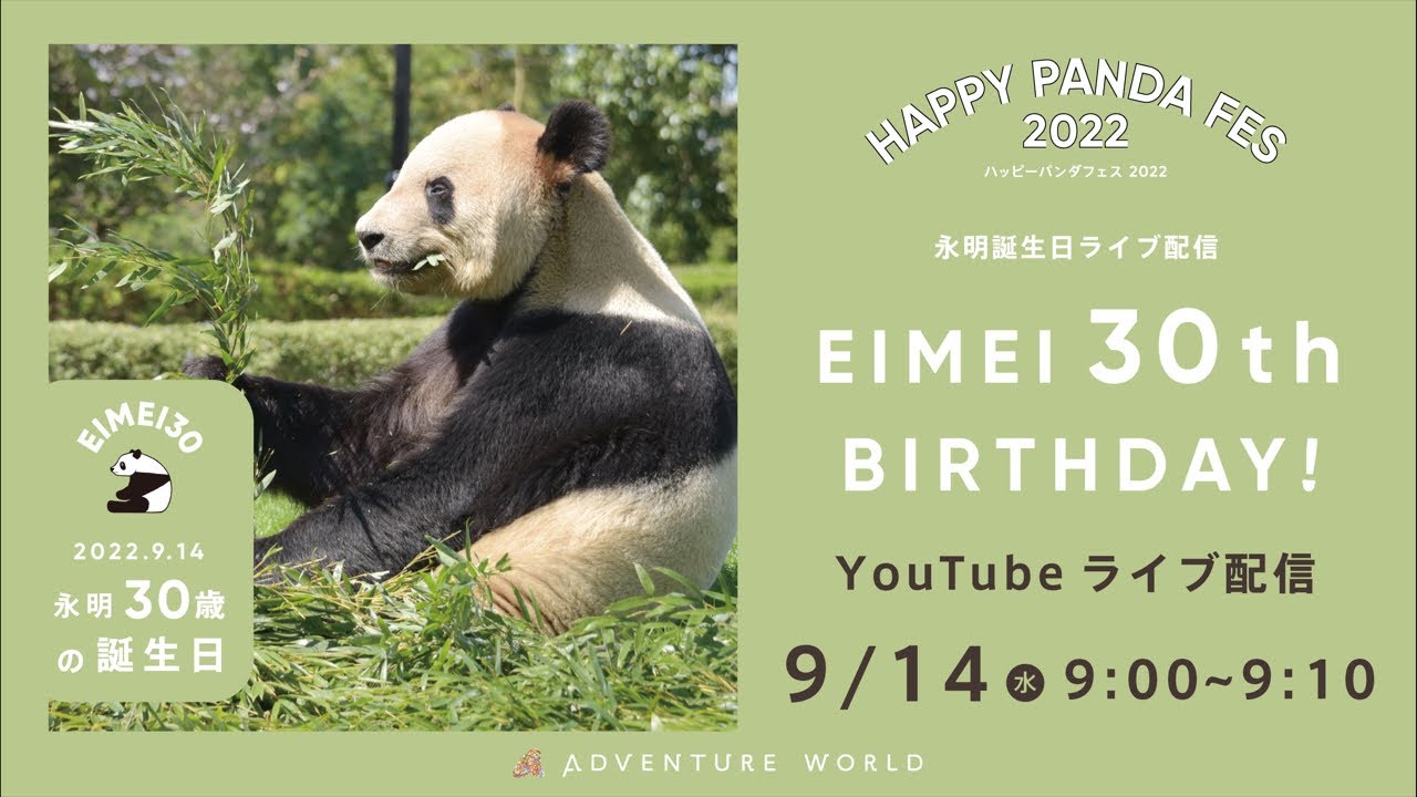 アーカイブ配信 ジャイアントパンダ 永明 えいめい 30歳の誕生日 Youtube