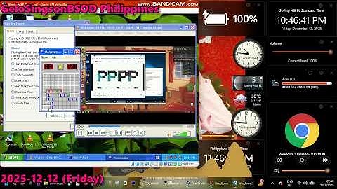 @n0t_gad1y has BSOD VM (Windows XP)