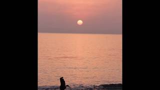 Triste-chromatic harmonica