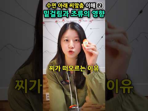 두번째 이유)수면아래 <strong>찌맞춤</strong> 원리:찌가 떠오를 때 밑걸림과 조류의 영향? <strong>바다낚시</strong> 명인 아빠한테 배우는 구멍찌낚시채비 #shorts #긱스이성규대표