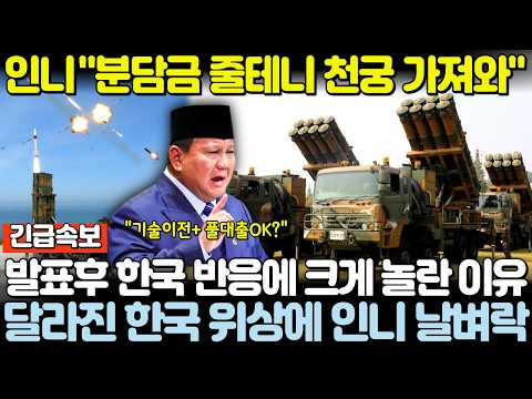 인니 "KF-21 분담금 줄테니 천궁 기술이전이랑 풀대출 해줘" 발표후 한국 반응에 크게 놀란 이유! 달라진 한국 위상에 인니 날벼락!