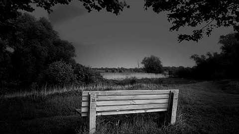 Have No Fear (Bird York)