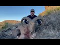 Kevin at Desert Safaris Hunting Aoudad Sheep using Hornady ELD-X Ammunition