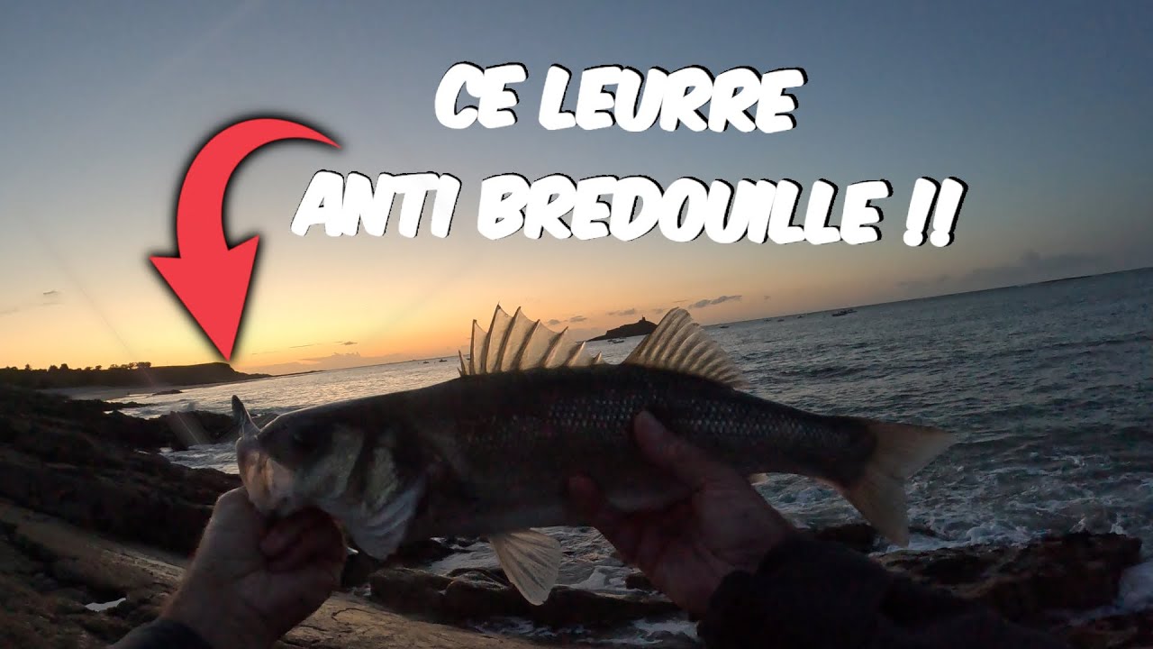 Pêche du bar au leurre 🎣 Ce leurre que j'aurais toujours avec moi 🔥 (31 août 2025)