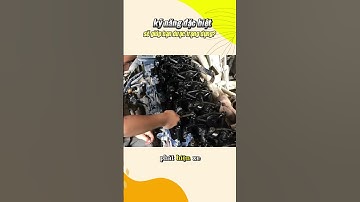 có một kỹ năng đặc biệt sẽ giúp bạn được trọng dụng? #shorts