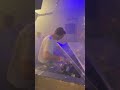 Jackmaster At Solid Grooves WHP Rave Techno Whp Solidgrooves mp3