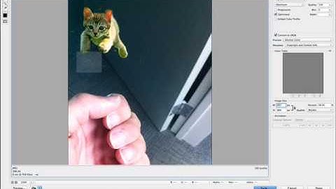 Photoshop Save for Web