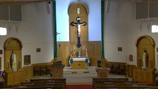 Do You See God in Everyone? A Homily on Dignity and Love