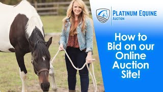 How to Register and Place a Bid