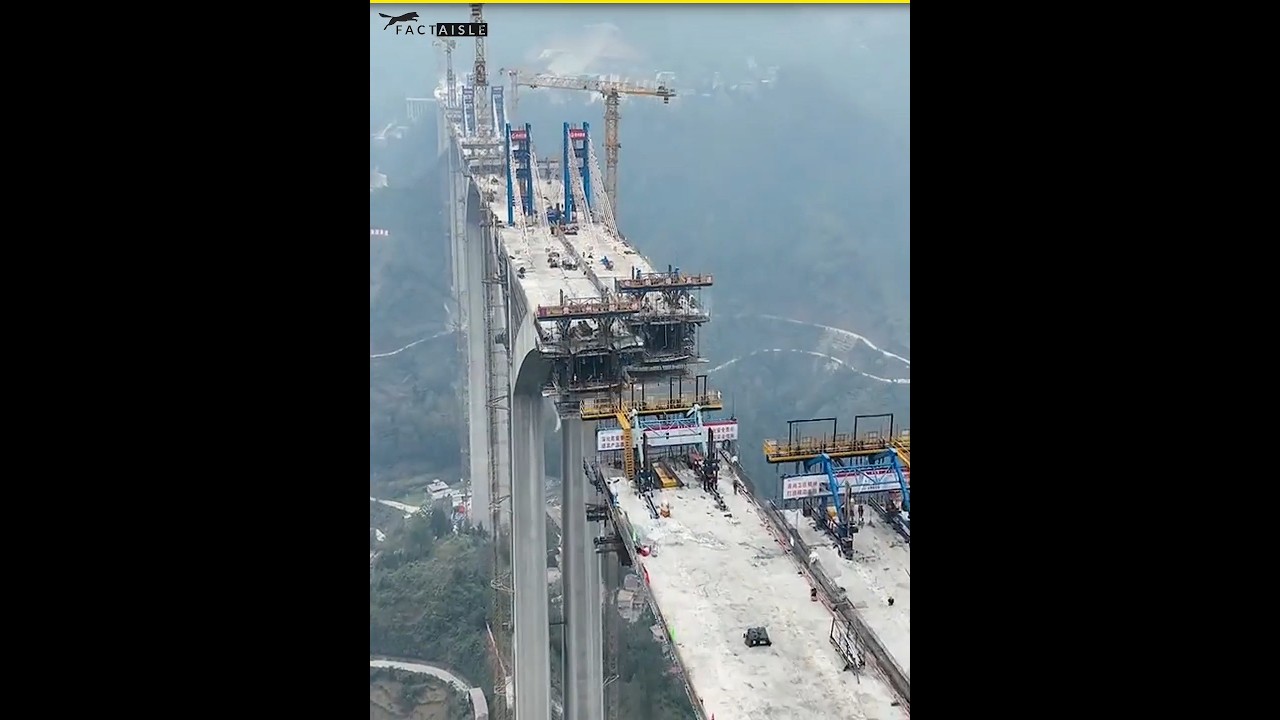 Nature’s Engineering: The Living Root Bridges of Meghalaya 😱
