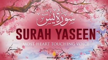 Surah Yaseen (Yasin) سورة يس with Urdu translation | Mishary Rashid Alafasy | 4K Quran