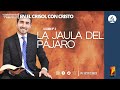 Lección 3: LA JAULA DEL PÁJARO | Pr. Víctor Correa | Escuela Sabática | 3 TRIMESTRE 2022