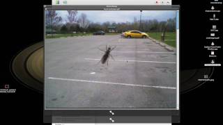 Automator - Upload to Flickr