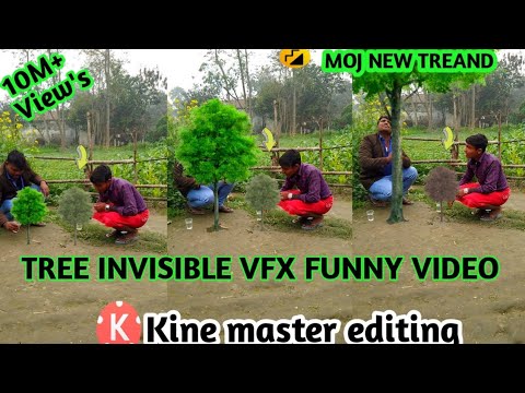 25JANUARY 2021 MOJ NEW TREAND TREE INVISIBLE VFX FUNNY VIDEO KINE MASTER EDITING KINE MASTER MAGIC