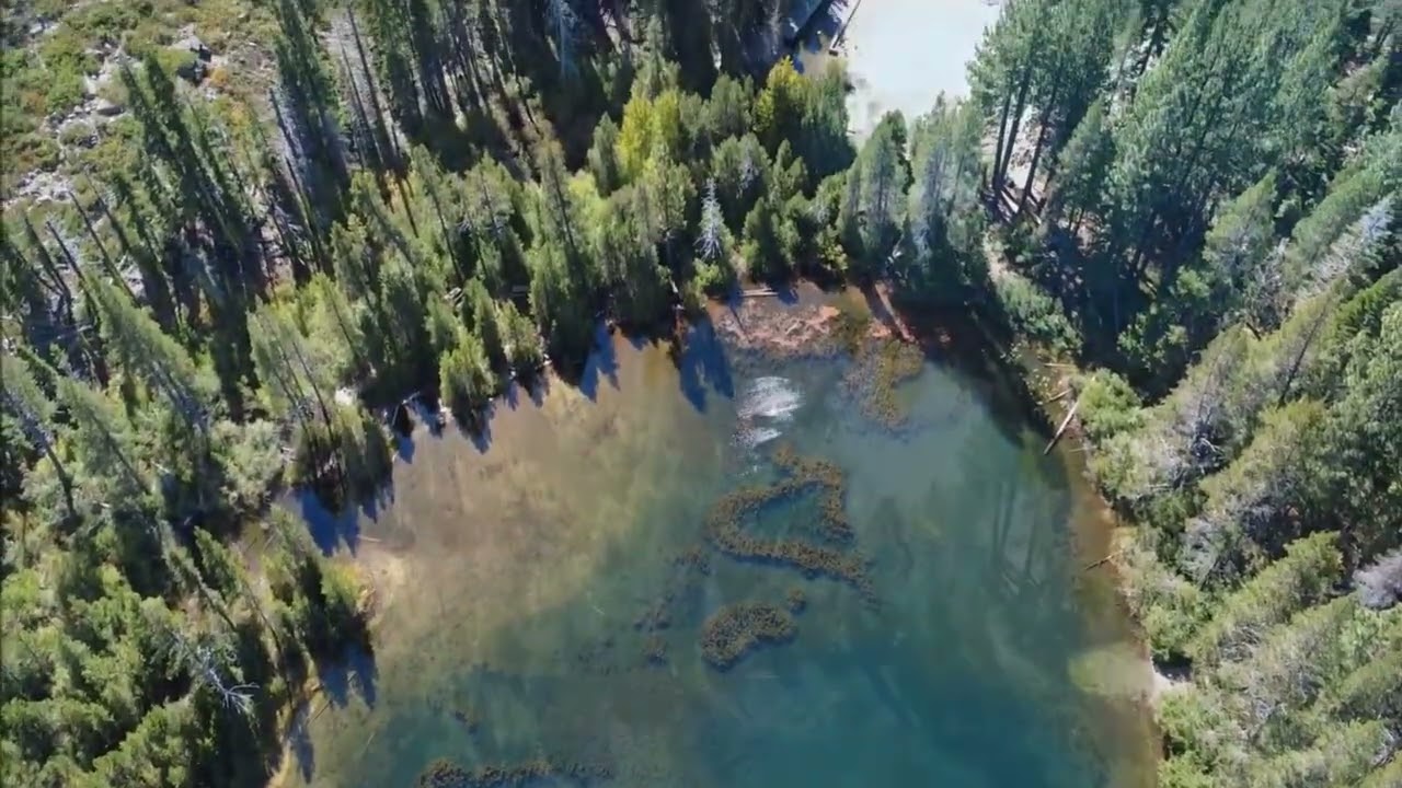 Tahoe National Forest  - October 2025