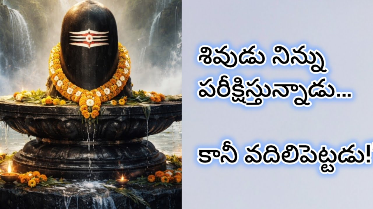 శివలింగం ముందు 10 సెకండ్లు… మనసు ప్రశాంతం అవుతుంది 🕉️