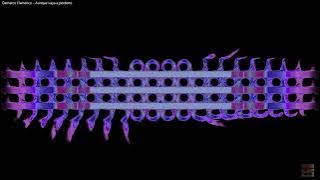 Demarco Flamenco   Aunque vaya a perderte AUDIO