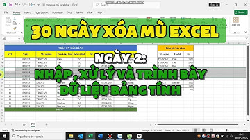 30 NGÀY XÓA MÙ EXCEL CƠ BẢN - NGÀY 2: NHẬP, XỬ LÝ VÀ TRÌNH BÀY DỮ LIỆU BẢNG TÍNH | TỰ HỌC EXCEL