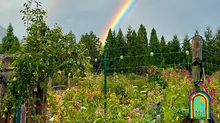 Discover community @ Flying Rainbow Farm w/ Andrea Shanti of Holistic Body Therapy in Mt Shasta, CA