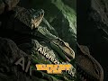 Alvarezsaurus 🦖 The Tiny One-Clawed Dinosaur Built for Speed and Precision 🌍⚡  #jurassicjuniors68