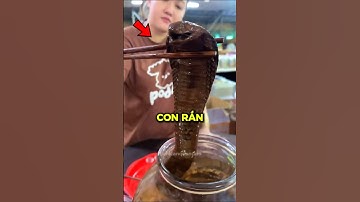 Rắn ngâm rượu tại Châu Á