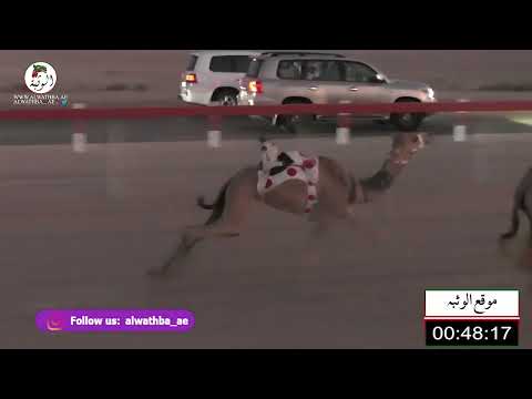 الشوط 1 هملوله ل عبدالله سيف بن حميده الخييلي 2 17 شارة الشيخ طحنون 2022 8 20 فطامين رماح