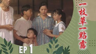 一枝草一點露 EP1