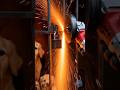 Doggy and Puppies Saved by a Brave Firefighter 😱👨‍🚒 #AI #shorts