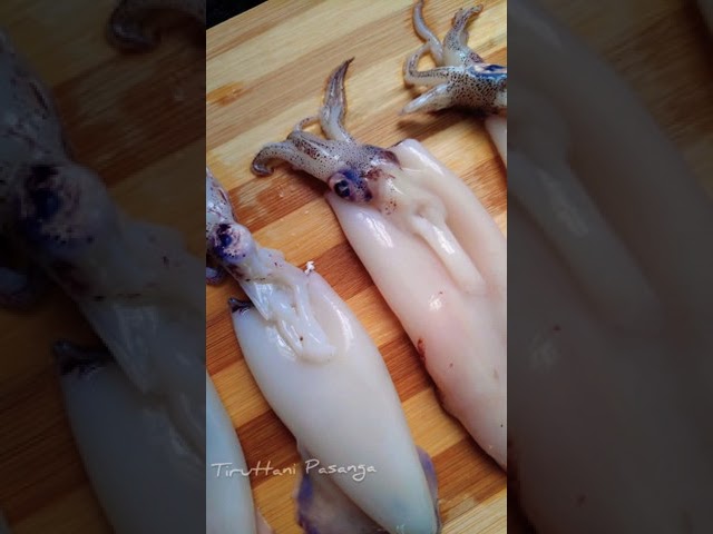 Squid 🐙 / Paleodiet / Recipes / Prepration #food #tamil #shorts class=