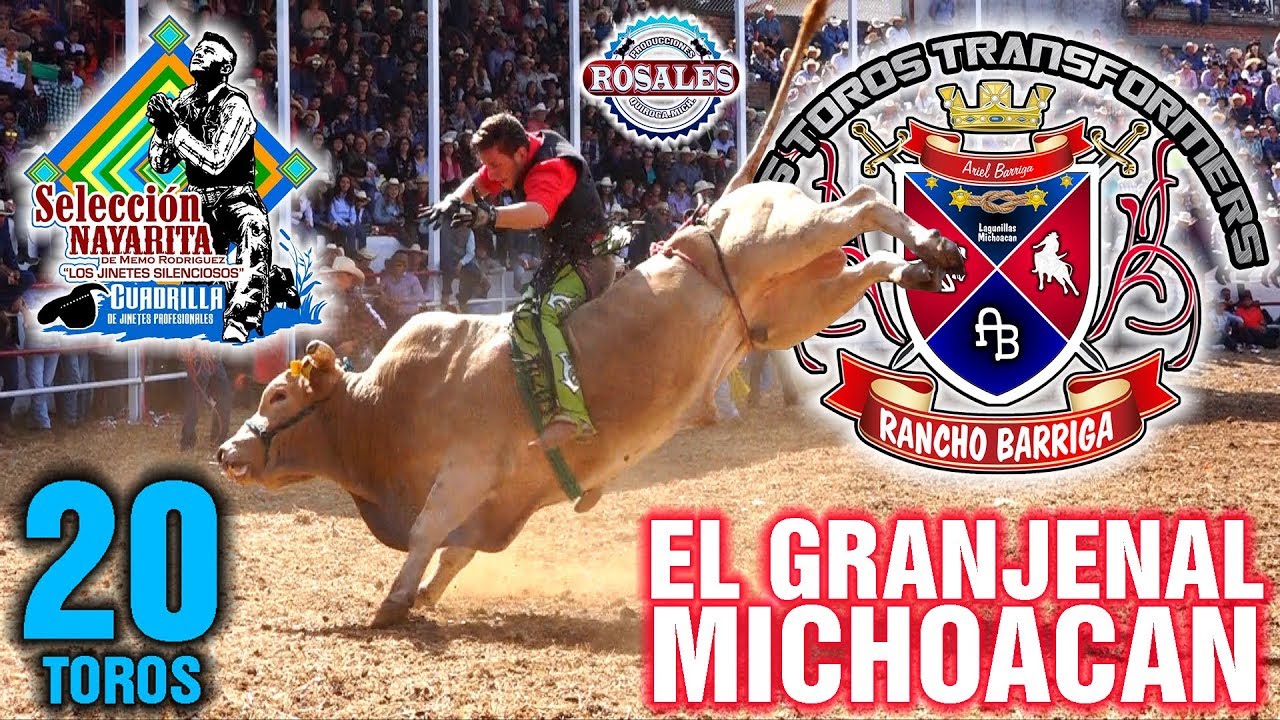 ¡¡¡ESTE ES EL ESPECTACULO QUE PROVOCAN 20 TRANSFORMERS!!! RANCHO BARRIGA EN EL GRANJENAL.MICH. rancho viejo