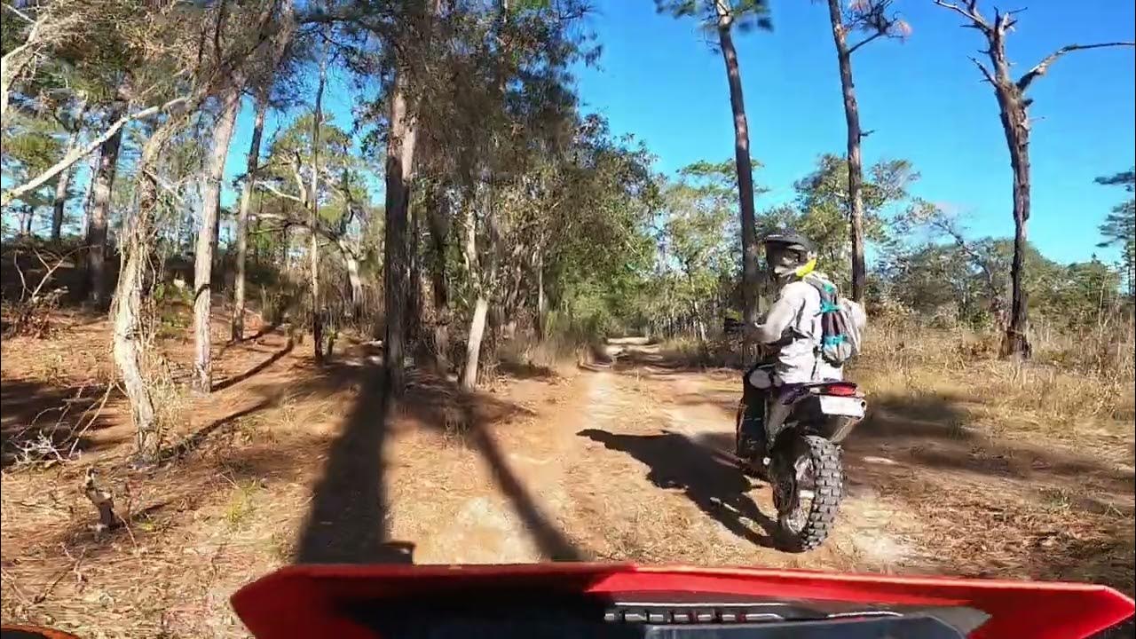 Citrus WMA. Ride YouTube