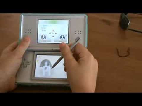 Come il nome del tuo cane - Nintendogs