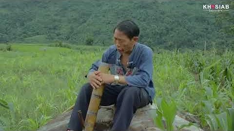 Pov Qaib Dib qhia txog kev tso tseg kev haus yeeb