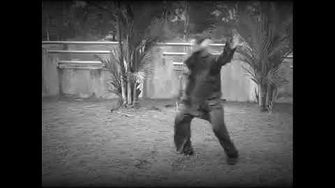 Martial Arts Training - Leopard Style Kungfu (Choy Li Fatt)