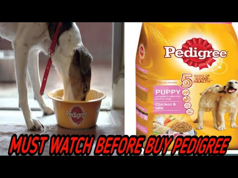 Pedigree Dog Food Review || Best Trustable Food For Your Dog Health