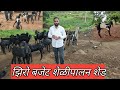 शेळीपालन शेड : goat farm