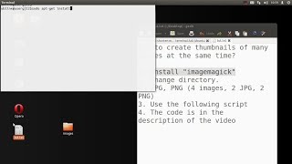 How to create thumbnails of multiple images at the same time (Ubuntu - Linux)