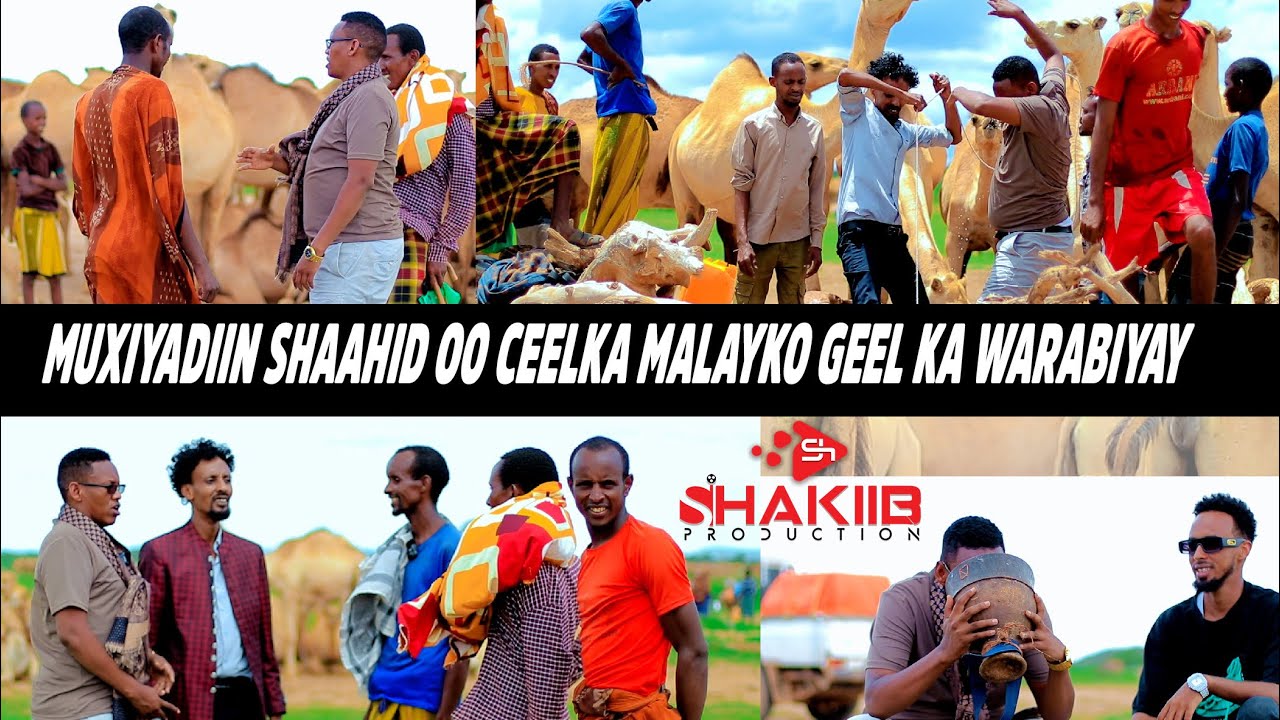 ABWAAN MUXIYADIIN SHAAHID IYO DIRGAX OO GEEL KA WARABIYAY CEELKA MALAYKO VLOG