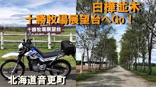 【セロー250】#192　北海道音更町　白樺並木　十勝牧場展望台へGo！