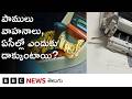 Snakes: పాములు ఎలాంటి ప్రదేశాల్ని ఎంచుకుంటాయి? ఏసీలు, కార్లలో ఎందుకు దాక్కుంటాయి? | BBC Telugu