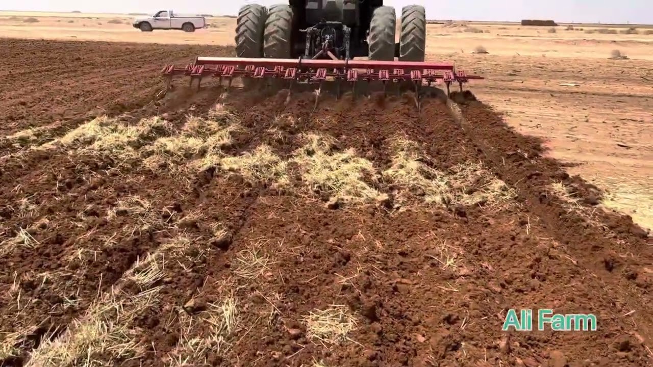 عملية خدمة وتجهيز الأرض لزراعة القمح والمحاصيل ذات البذرة الصغيرة مثل البصل والشعير والذرة والبرسيم