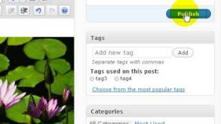Wiki Video Tutorial 1 - Add New Post